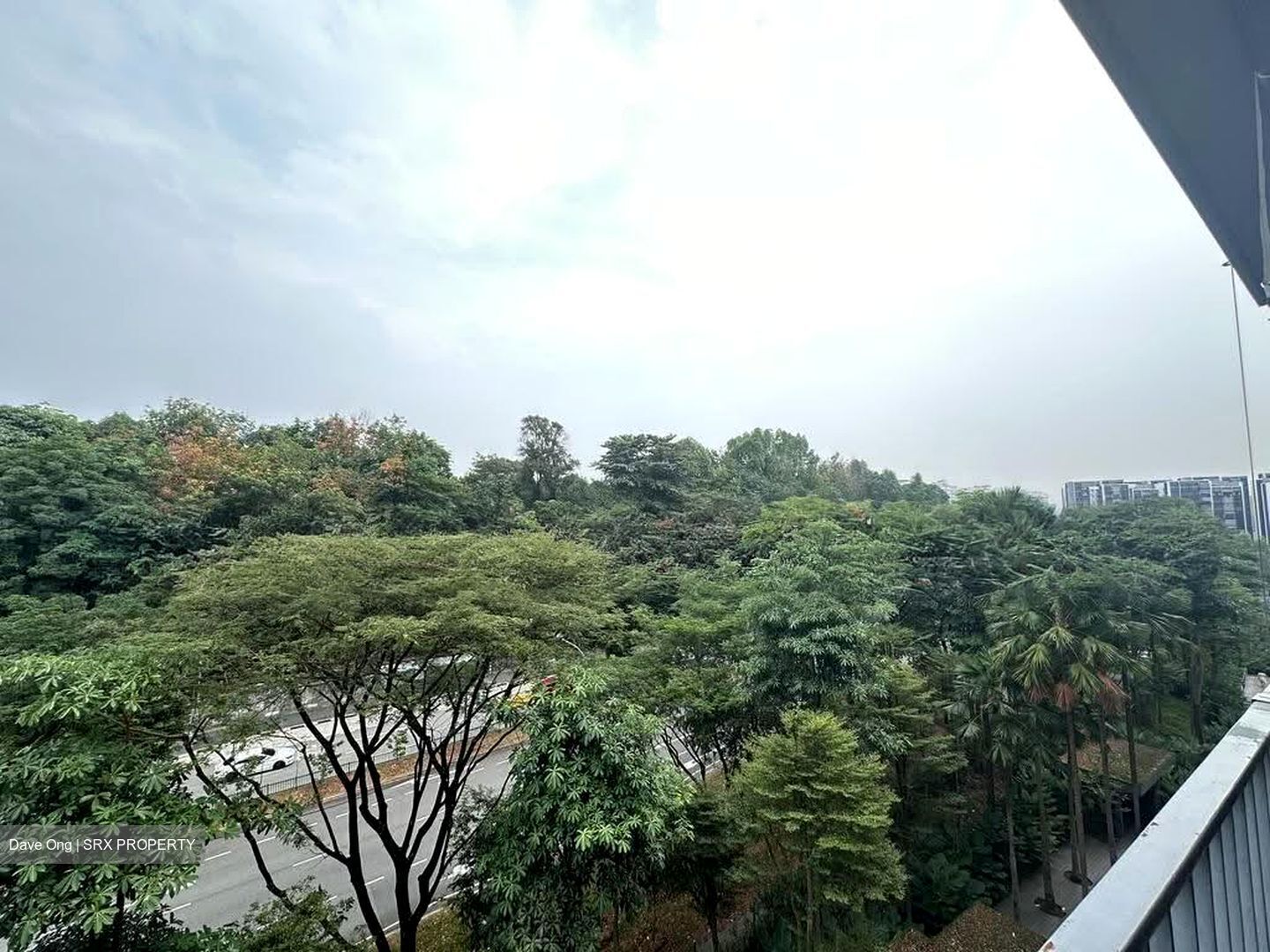 The Visionaire (D27), Condominium #616504221